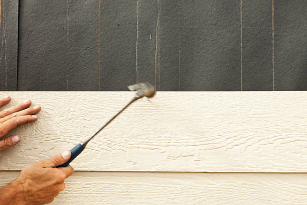 Best Siding for Multi-Family Homes  in Citrus Park, AZ